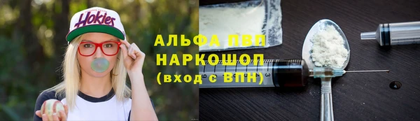 ешки Белокуриха