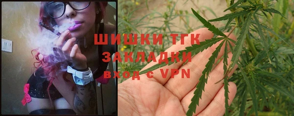 PSILOCYBIN Беломорск